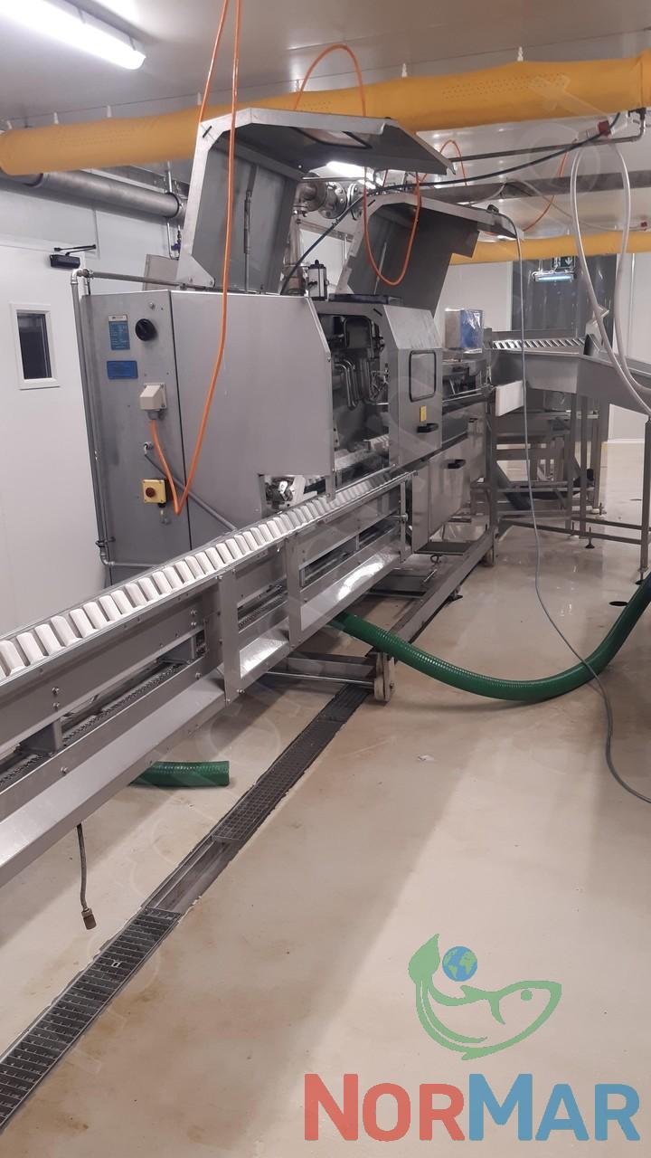 baader_142_gutting_machine_for_salmon_species_1