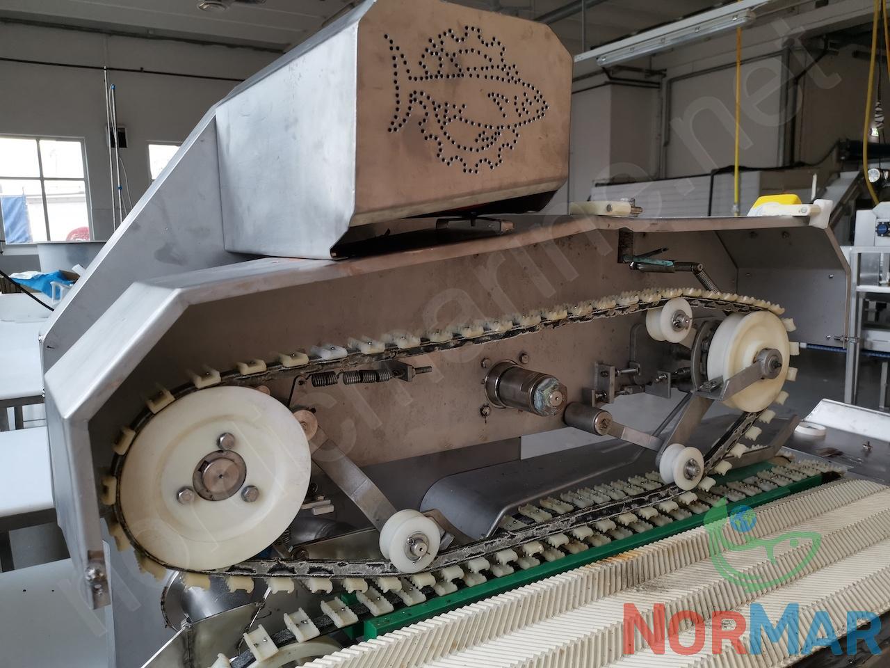 josmar_jm-454_fish_head_cutting_machine__6