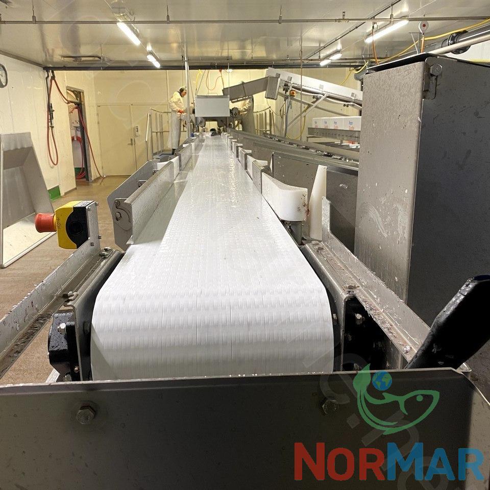 marel_dual_lane_grader_for_12_gates_8