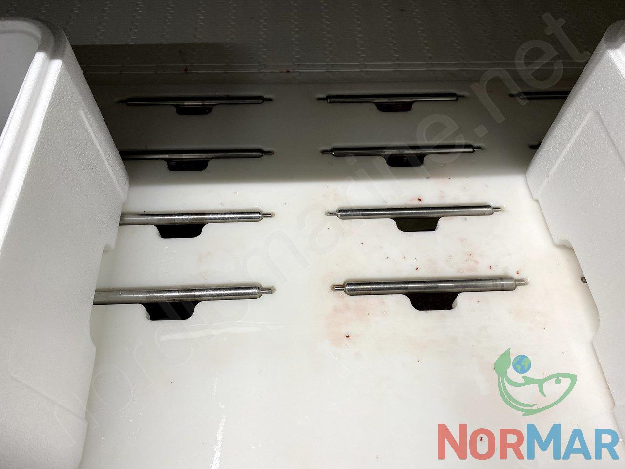 marel_dual_lane_grader_for_12_gates_9