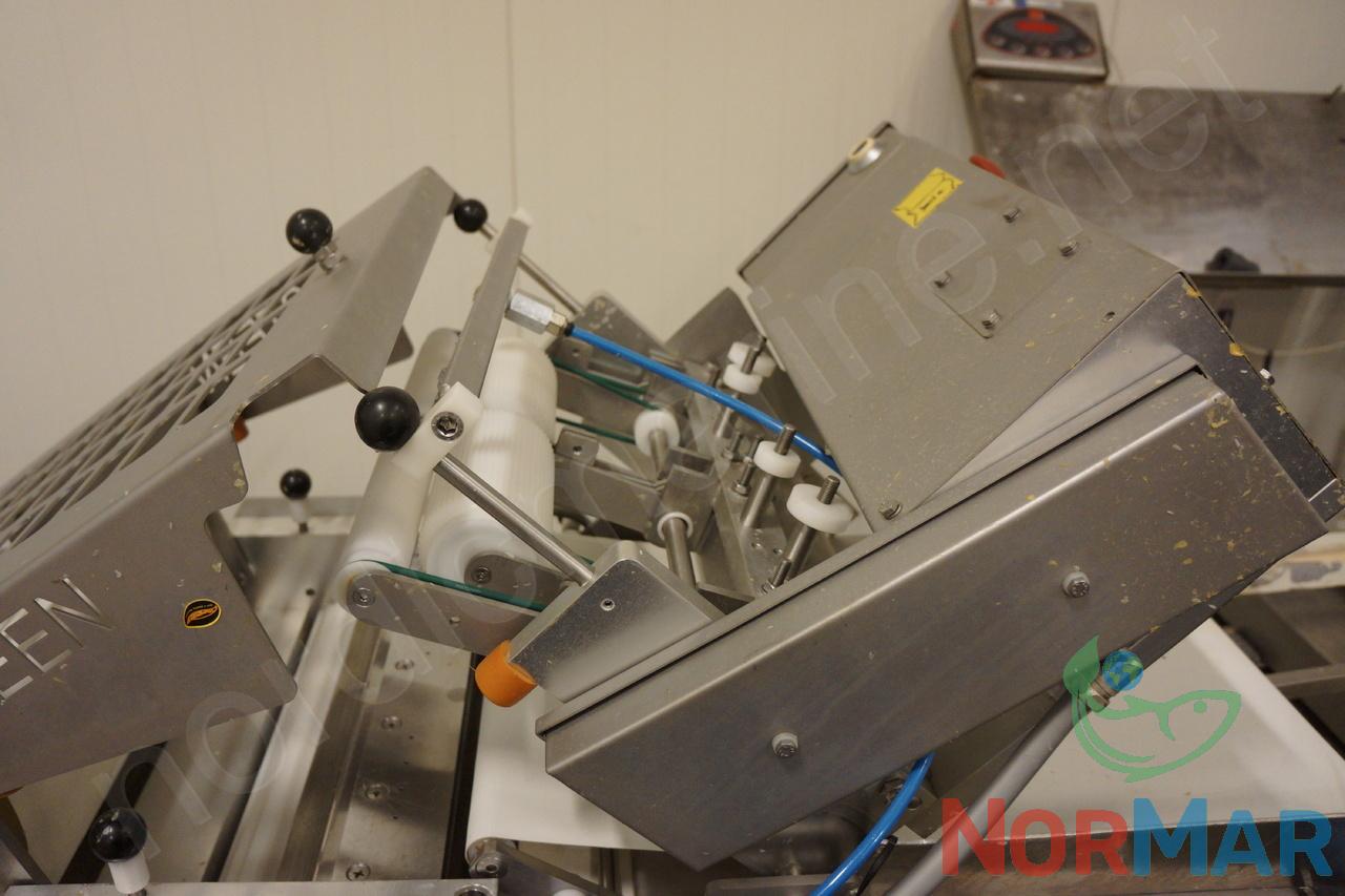 steen_st_600_skinning_machine_3