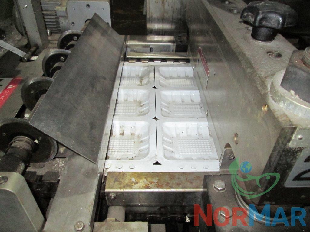 Multivac R140 2005 (11)