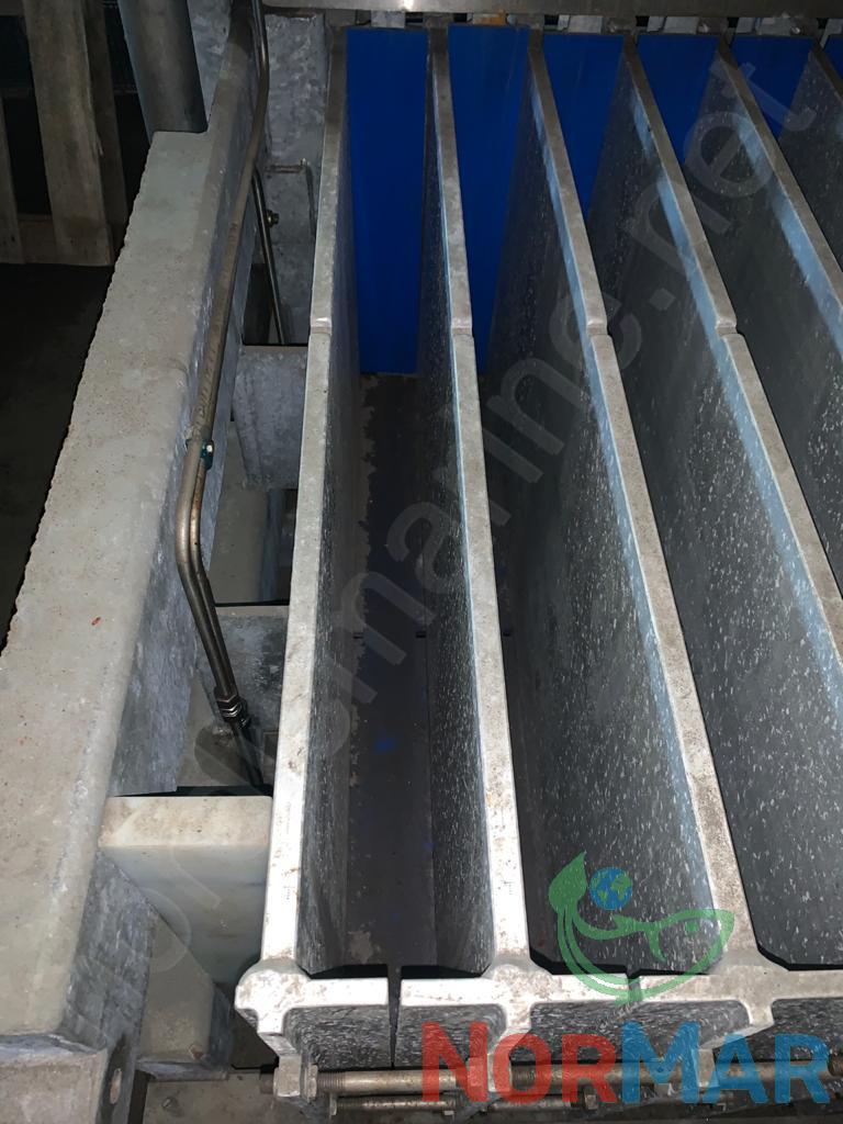 stal_plate_freezer_2