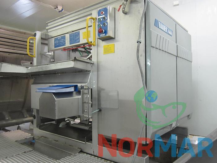 baader 444 gutting and heading machine